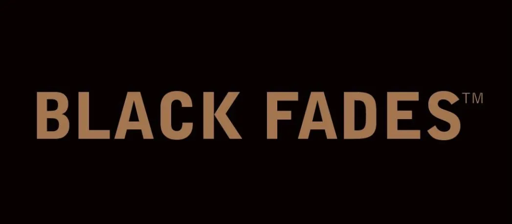 Imagen de Black Fades