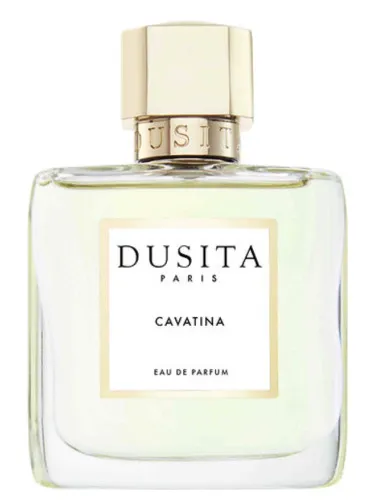 Cavatina
