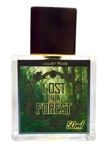 Lost in a Forest