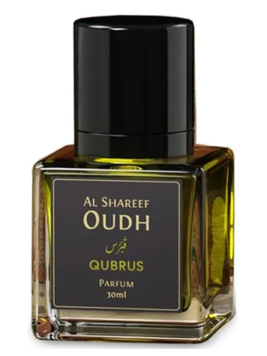 Qubrus