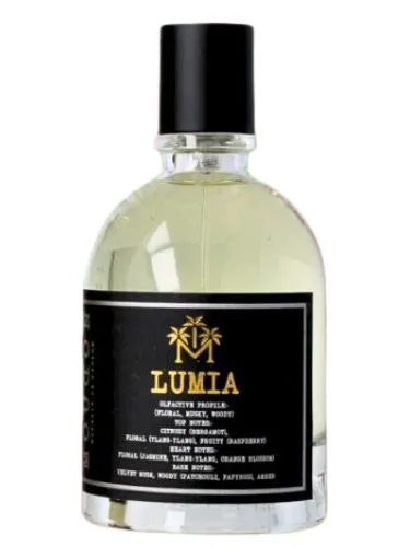 Imagen de Lumia