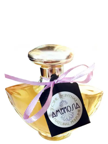 Imagen de Ambrosia