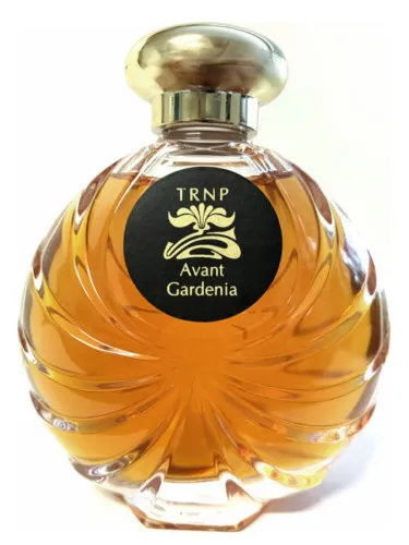 Imagen de Avant Gardenia