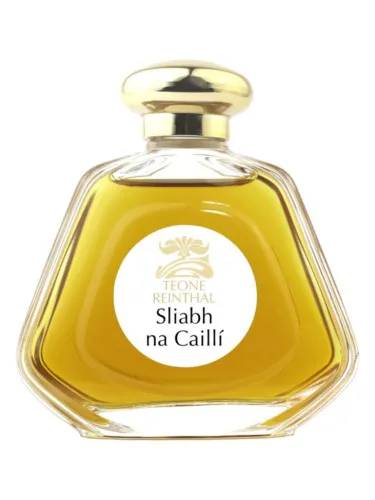 Sliabh na Cailli