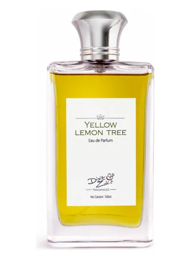 Yellow Lemon Tree