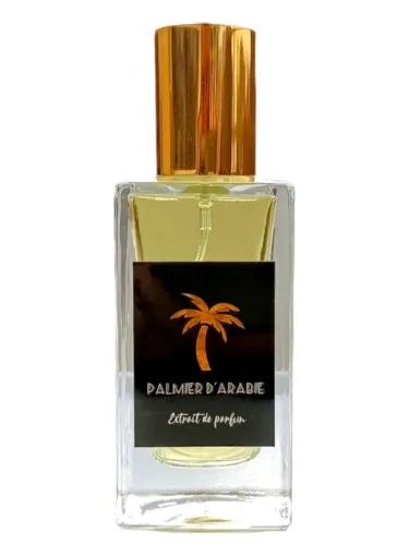 Palmier D'Arabie