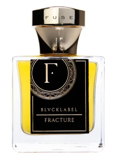 Imagen de Fracture