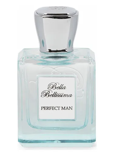 Perfect Man