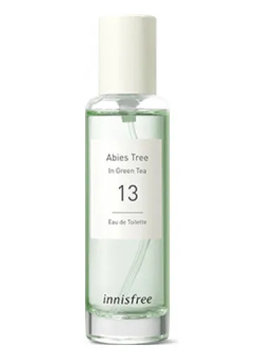 13 Abies Tree in Green Tea