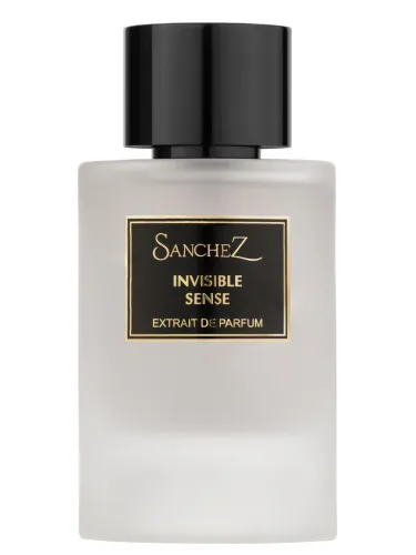 Imagen de Invisible Sense