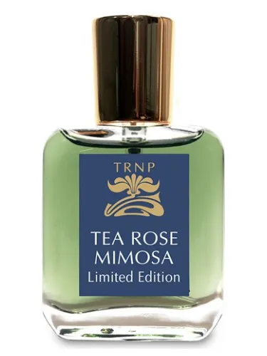 Tea Rose Mimosa - Limited Edition