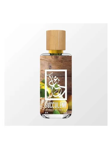 Imagen de Succulent