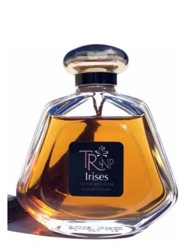 Imagen de Irises