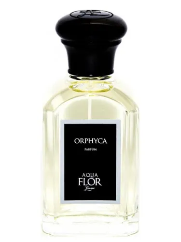 Orphyca
