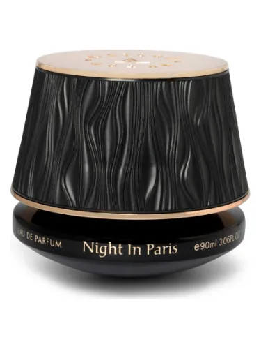 Imagen de Night In Paris