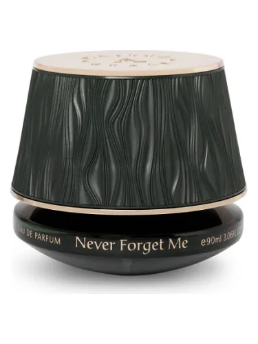 Imagen de Never Forget Me
