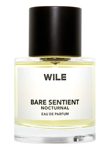 Bare Sentient Nocturnal