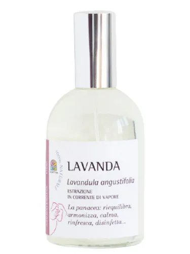 Lavanda
