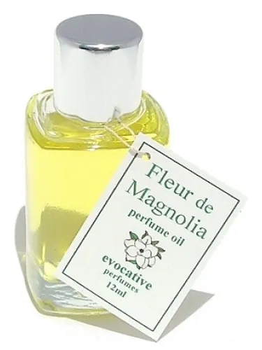 Fleur de Magnolia