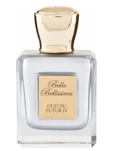 Oud Du Futur IV