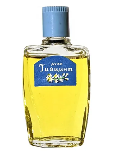 Imagen de Гиацинт (Hyacinth)