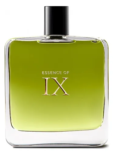 Essence of IX