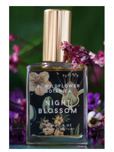 Night Blossom