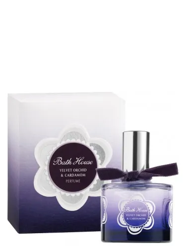 Velvet Orchid & Cardamom
