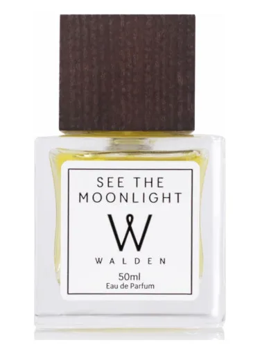 See The Moonlight