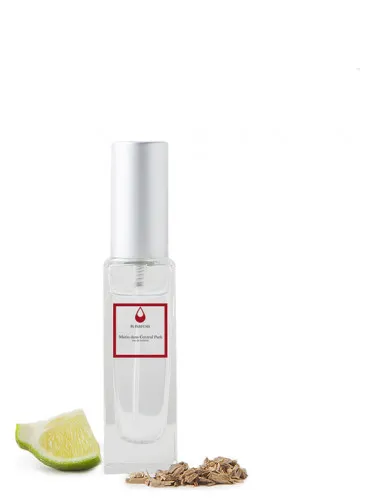 Matin a Central Park