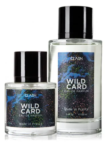 Imagen de Wild Car