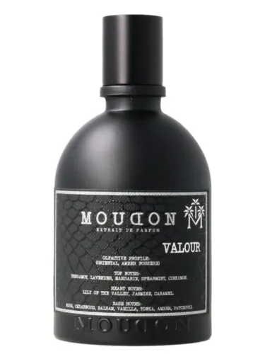 Imagen de Valour
