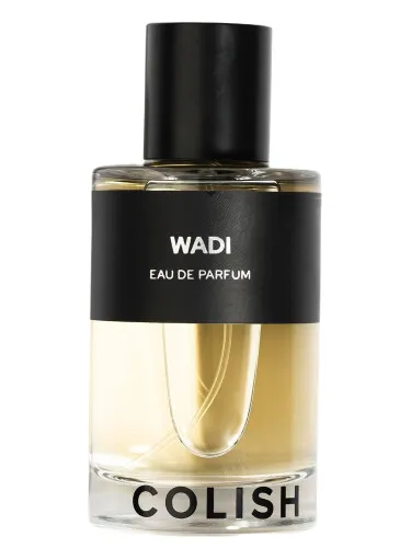 Wadi