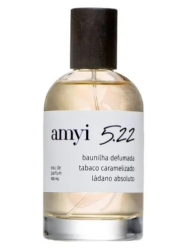 Imagen de Amyi 5.22