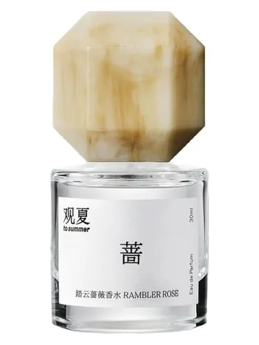 Rambler Rose 踏云蔷薇