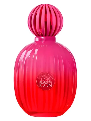 Imagen de The Icon Supreme for Women