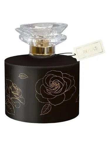 Imagen de Rosas Rose Noir
