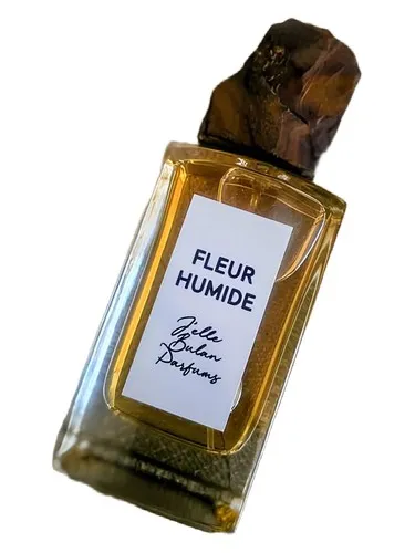 Fleur Humide