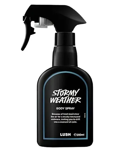 Imagen de Stormy Weather