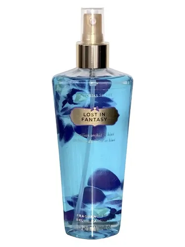 Imagen de Lost in Fantasy